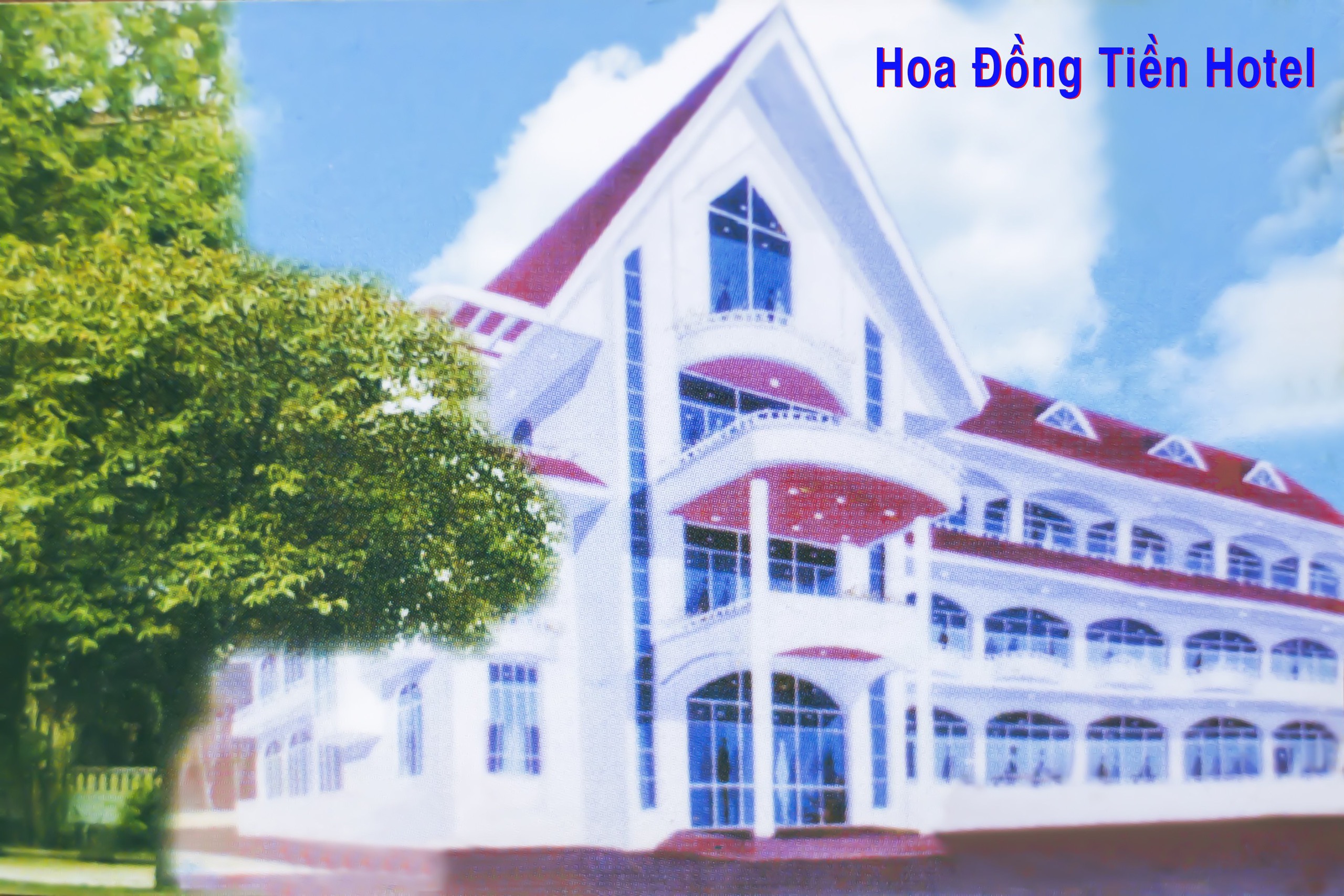 Khách sạn Hoa Đồng Tiền