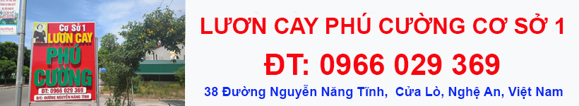 LƯƠN CAY PHÚ CƯỜNG CỬA LÒ